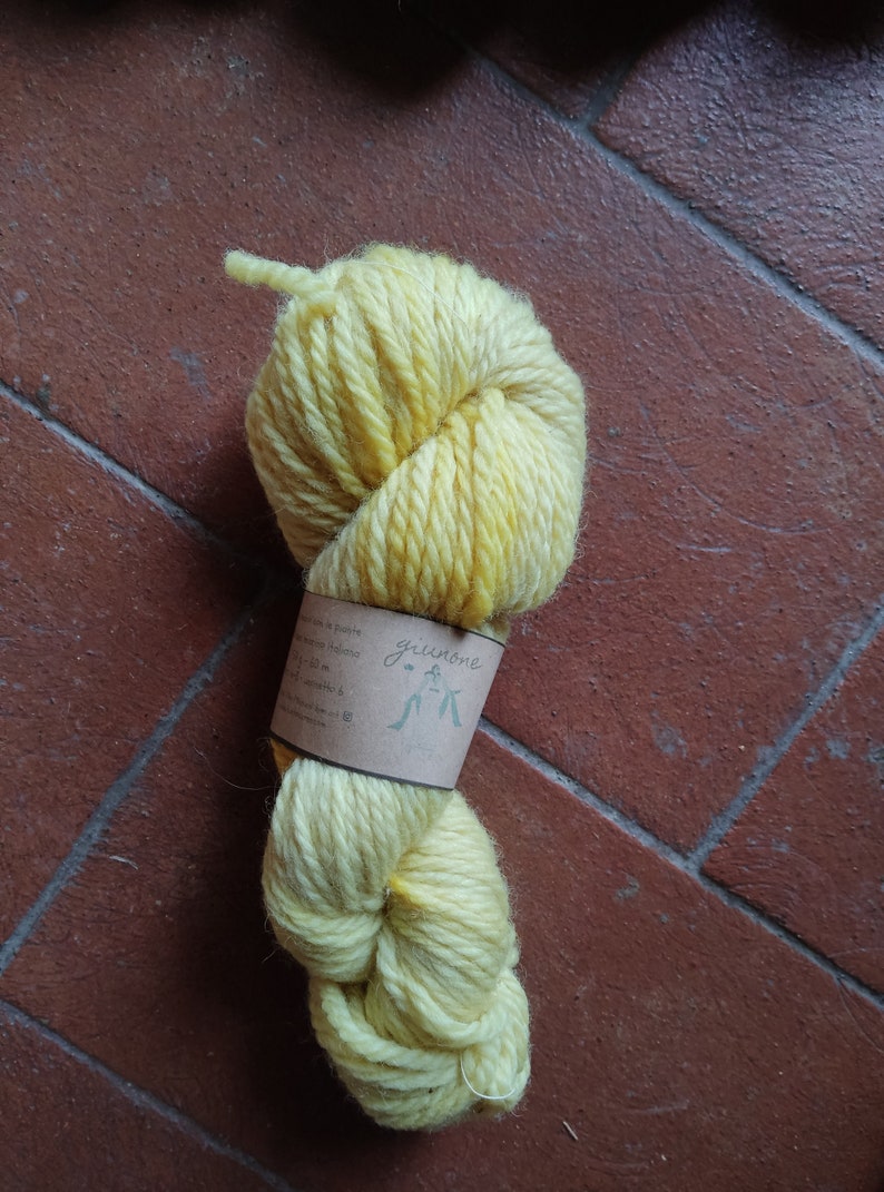 Merino Aran natuurlijke kleurstof, GIUNONE grof garen voor Ierse truien. Strengen van pure Italiaanse scheerwol voor brei en haakdekens afbeelding 4