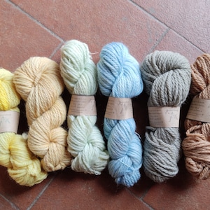 Merino Aran natuurlijke kleurstof, GIUNONE grof garen voor Ierse truien. Strengen van pure Italiaanse scheerwol voor brei en haakdekens afbeelding 1