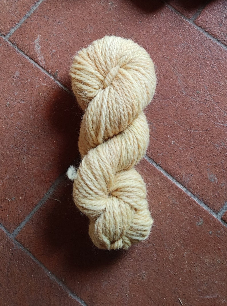 Merino Aran natuurlijke kleurstof, GIUNONE grof garen voor Ierse truien. Strengen van pure Italiaanse scheerwol voor brei en haakdekens afbeelding 5