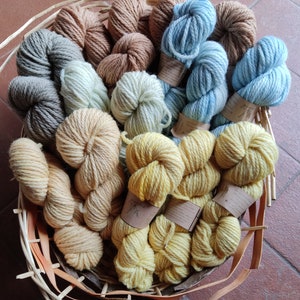 Merino Aran natuurlijke kleurstof, GIUNONE grof garen voor Ierse truien. Strengen van pure Italiaanse scheerwol voor brei en haakdekens afbeelding 2