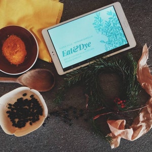Eat & Dye od gotowania po barwienie bez odpadów. Książka kucharska z menu wegańskim i tutorialem naturalnego barwienia warzywami i owocami w kuchni