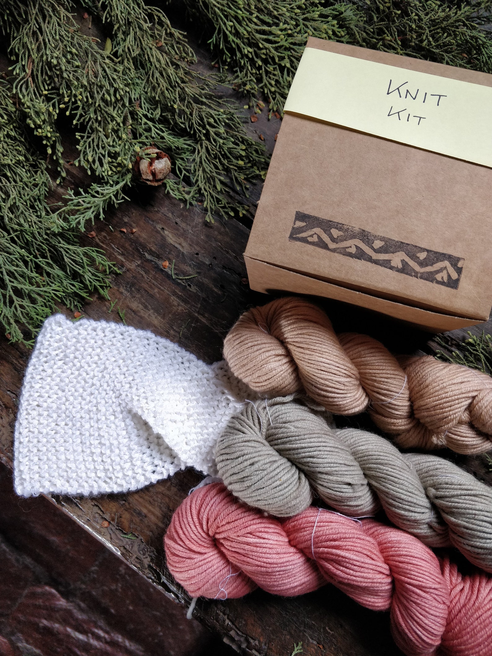 Easy Knitting Kit for Beginners With Merino Plant Dyed Yarn Etsy Israel