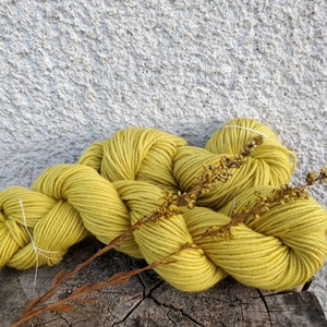 May include: A skein of yellow-green yarn, with a dried plant stem, rests on a weathered wooden surface. The yarn is thick and twisted, with a soft, textured appearance. The background is a textured, light gray wall.