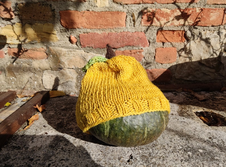 Mit Pflanzen gefärbte Babyfruchtmütze, 100 % Merinowolle. Handgefertigter Hut für Kinder oder Erwachsene: Apfel, Birne, Pfirsich, Orange, Pflaume mit Blatt Bild 4