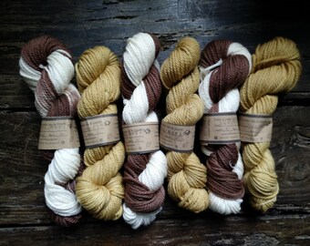 Gradient earthy yarn 100% merino plant dyed self striping chocolate and white or golden ecru. Italian bulky wool warm tones botanical dye