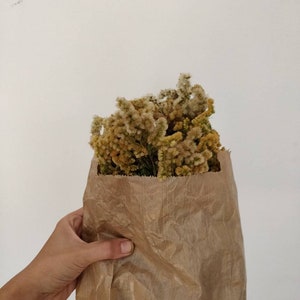 May include: A brown paper bag filled with dried yellow and tan flowers. The bag is held by a person's hand against a white background. The flowers are the focal point, with a textured appearance.