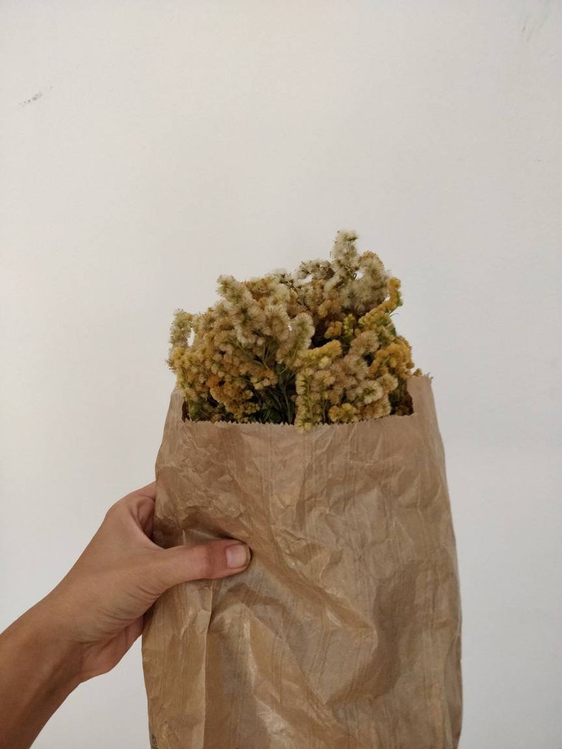 May include: A brown paper bag filled with dried yellow and tan flowers. The bag is held by a person's hand against a white background. The flowers are the focal point, with a textured appearance.