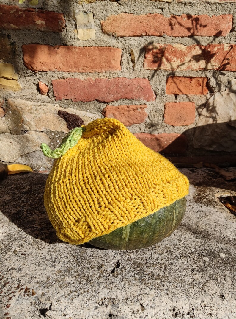 Mit Pflanzen gefärbte Babyfruchtmütze, 100 % Merinowolle. Handgefertigter Hut für Kinder oder Erwachsene: Apfel, Birne, Pfirsich, Orange, Pflaume mit Blatt Bild 9