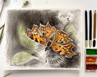 Comma Butterfly Artwork - Original charcoal drawing with watercolour on paper 40cm x 30cm (15.5” x 12”) gift, wall Art, foxes, Fox, hunting