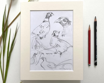 Pheasant studies #02 Artwork - Original A5 pencil drawing on paper, 148mm x 210mm (approx 6” x 8”) sketch gift, wall Art, pheasants, hunting