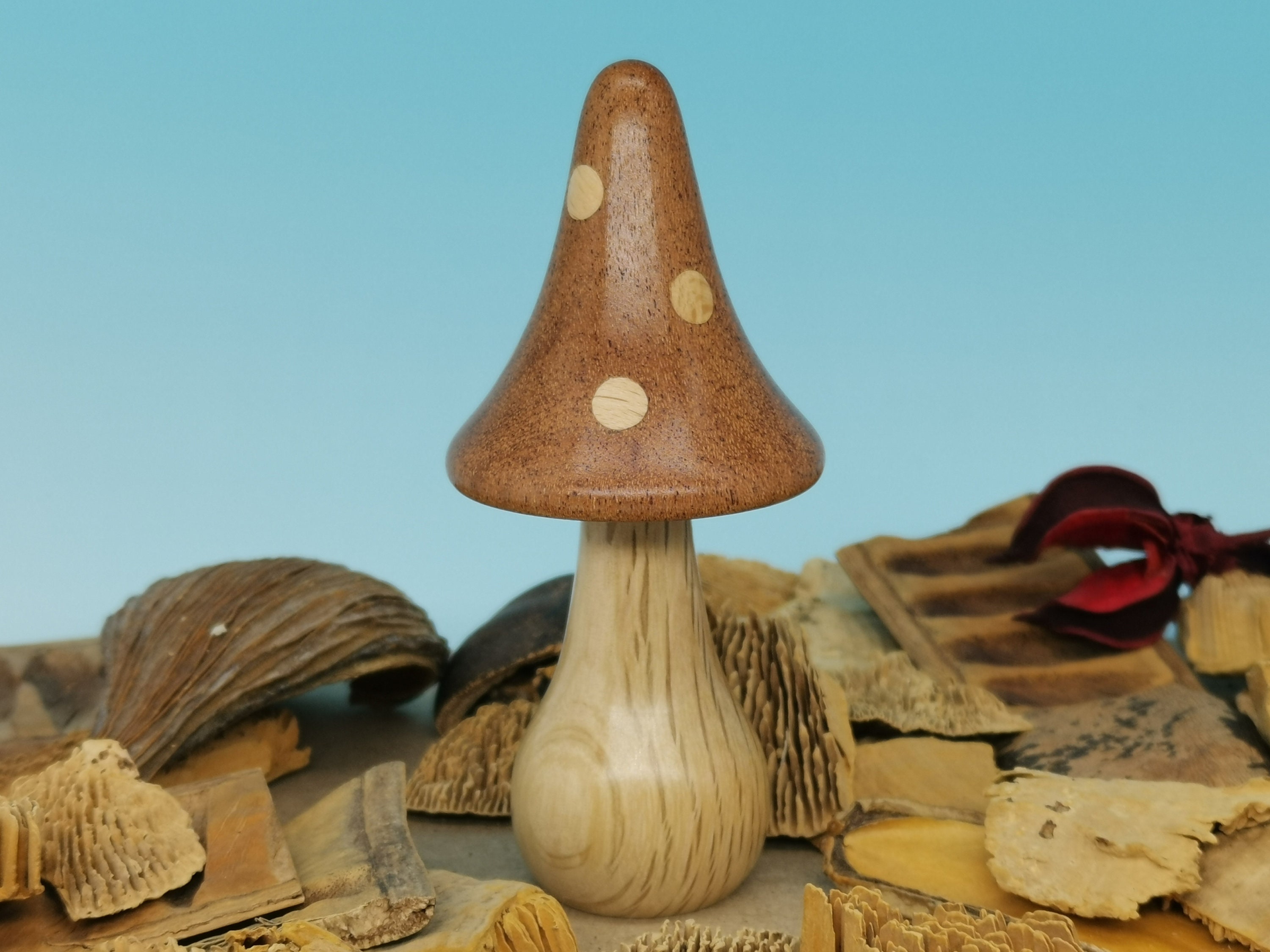 Turned Wood Mushrooms, Miniature Mushrooms, Wooden Mushrooms – Schoolhouse  Woodcrafts