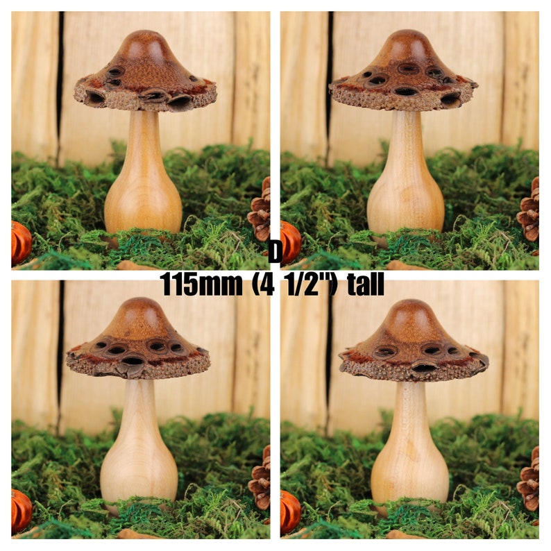 Handmade wooden mushrooms, decorative fungi ornaments made with a Banksia seed pod. Ideal natural gift for the nature lover D