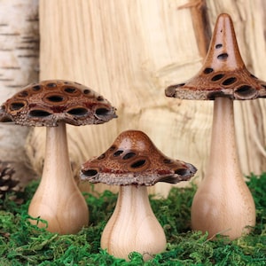 Handmade wooden mushrooms, decorative fungi ornaments made with a Banksia seed pod. Ideal natural gift for the nature lover image 1