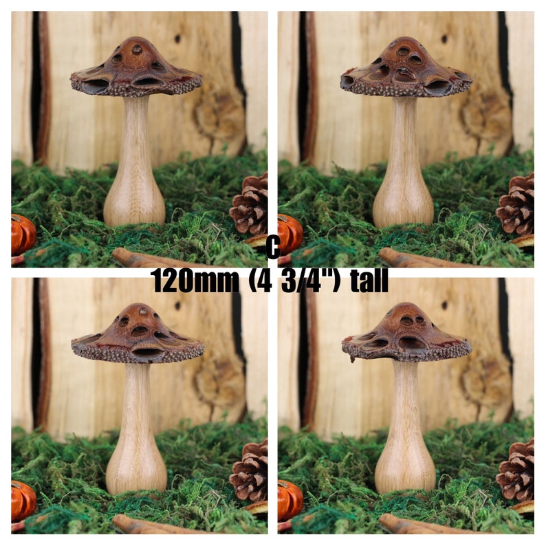 Handmade wooden mushrooms, decorative fungi ornaments made with a Banksia seed pod. Ideal natural gift for the nature lover C