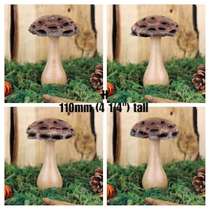 Handmade wooden mushrooms, decorative fungi ornaments made with a Banksia seed pod. Ideal natural gift for the nature lover H
