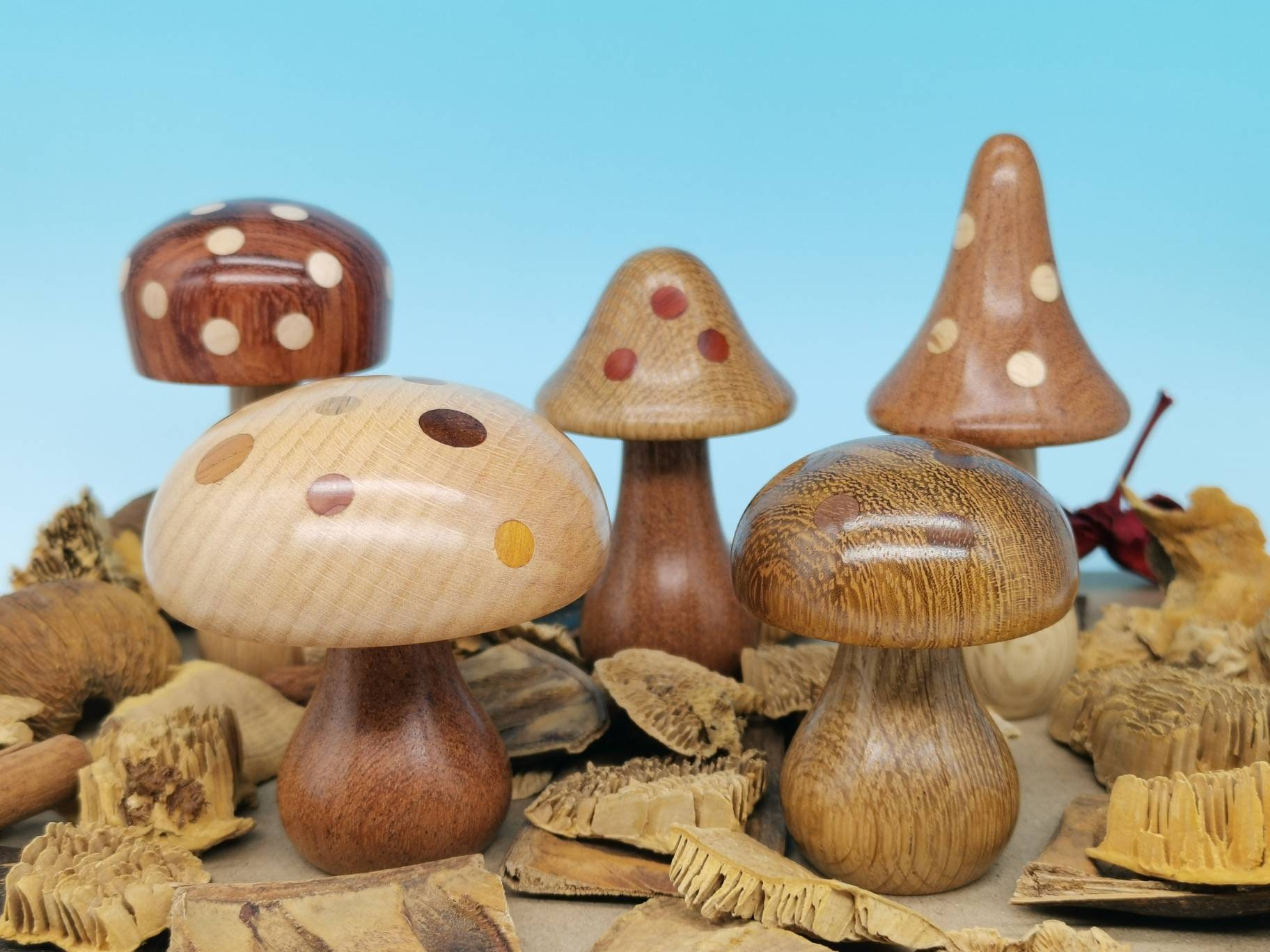 1970s Pair of Wooden Mushrooms