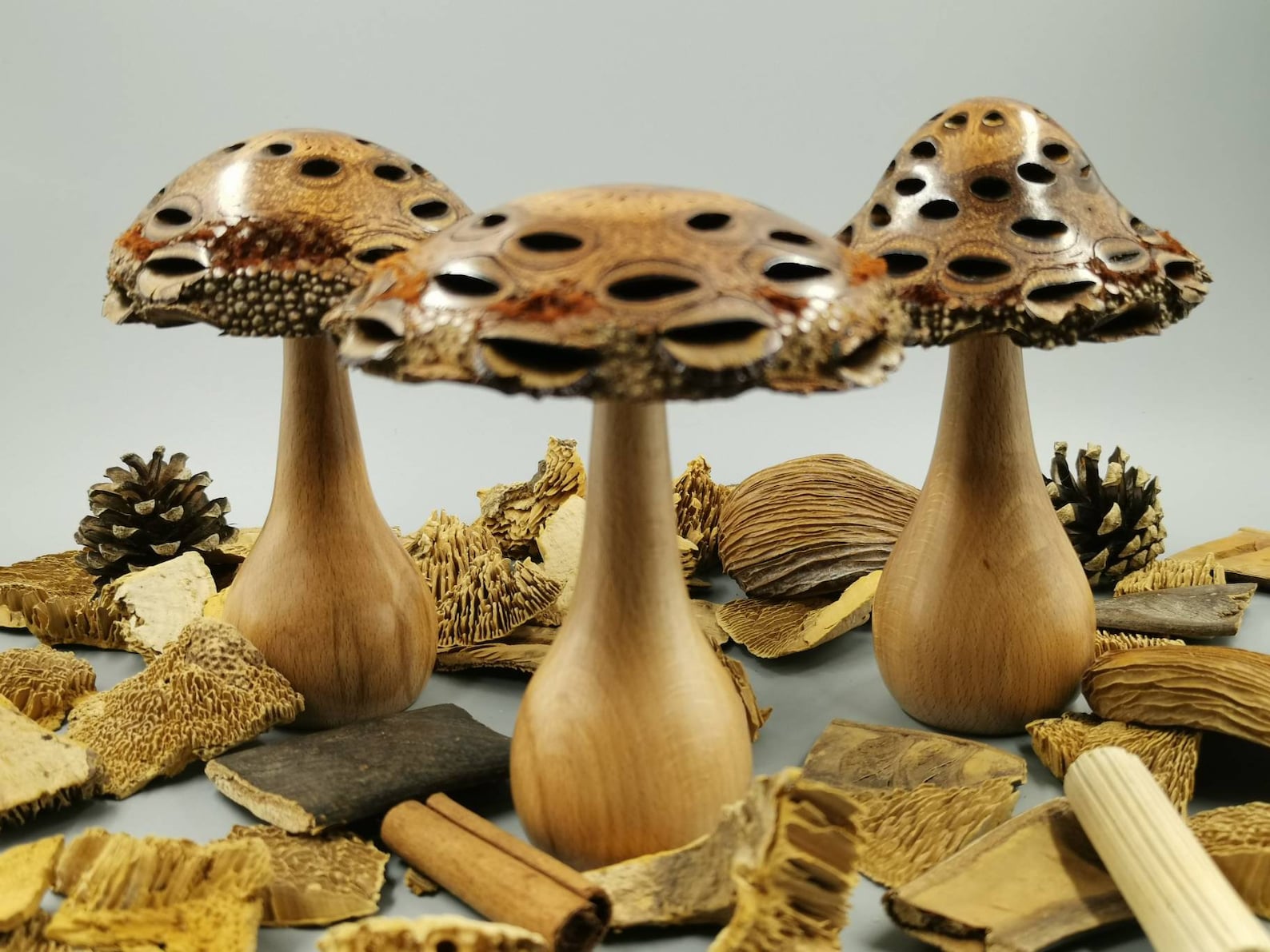 Wooden mushroom Turned wood mushrooms Decorative Banksia Etsy