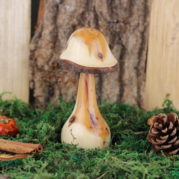 Yew wooden mushroom #40. Hand crafted unique fungi gift, ideal present for that special treat