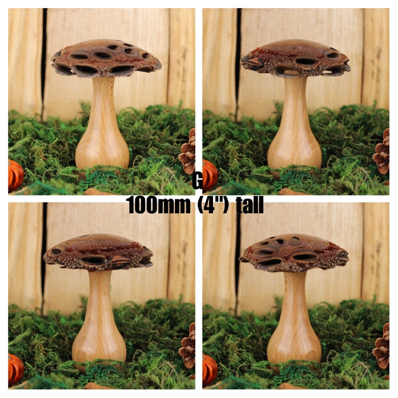 Handmade wooden mushrooms, decorative fungi ornaments made with a Banksia seed pod. Ideal natural gift for the nature lover G