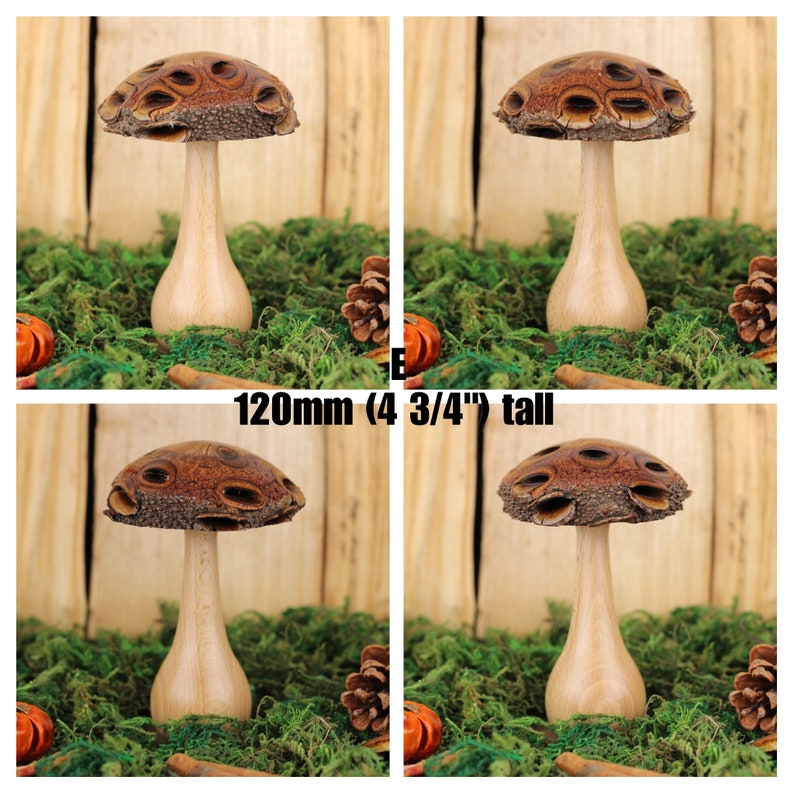Handmade wooden mushrooms, decorative fungi ornaments made with a Banksia seed pod. Ideal natural gift for the nature lover E