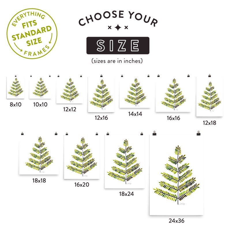 Puede incluir: Un gr&aacute;fico que muestra los diferentes tama&ntilde;os de impresiones disponibles para comprar. El gr&aacute;fico muestra un dise&ntilde;o de helecho verde estilizado en varios tama&ntilde;os, que van desde 8x10 pulgadas hasta 24x36 pulgadas.