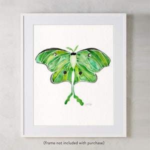 Luna Moth – Watercolor Painting Art Print by CatCoq. Museum-quality on thick, archival, matte paper. Moth • Summer • Insect • Bug • Luna