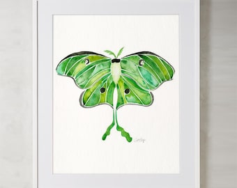 Luna Moth – Watercolor Painting Art Print by CatCoq. Museum-quality on thick, archival, matte paper. Moth • Summer • Insect • Bug • Luna