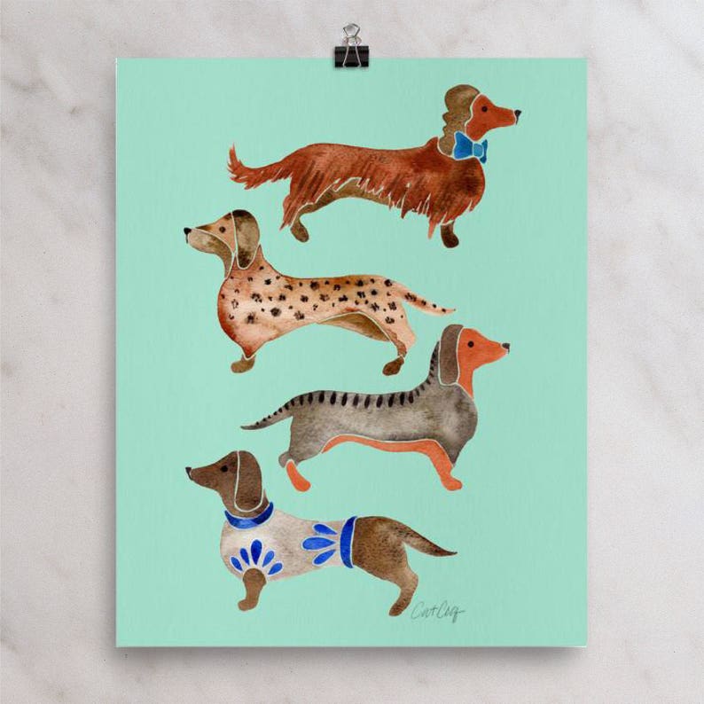 Puede incluir: Una pintura de acuarela de cuatro dachshunds en diferentes poses. Los dachshunds son marrones, negros y blancos con manchas. El fondo es de color azul verdoso claro. La pintura est&aacute; firmada "CatCly".