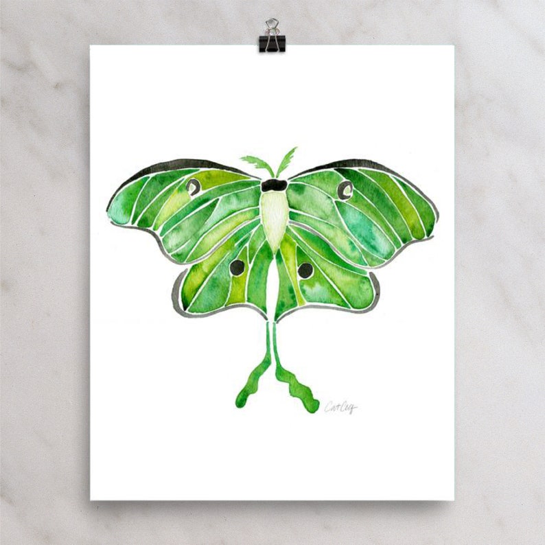 Luna Moth – Watercolor Painting Art Print by Catcoq. Museum-quality on ...