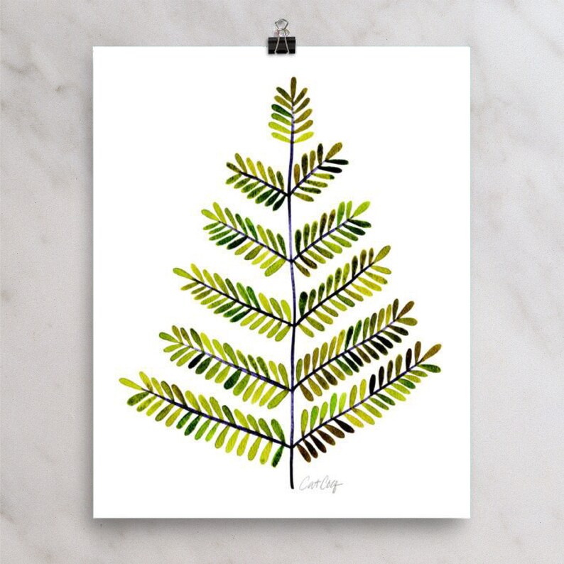 Puede incluir: Pintura acuarela de un helecho verde con un tallo azul oscuro. El helecho est&aacute; estilizado con bordes redondeados y un dise&ntilde;o simple. La firma del artista, "Catleg", est&aacute; en la esquina inferior derecha.