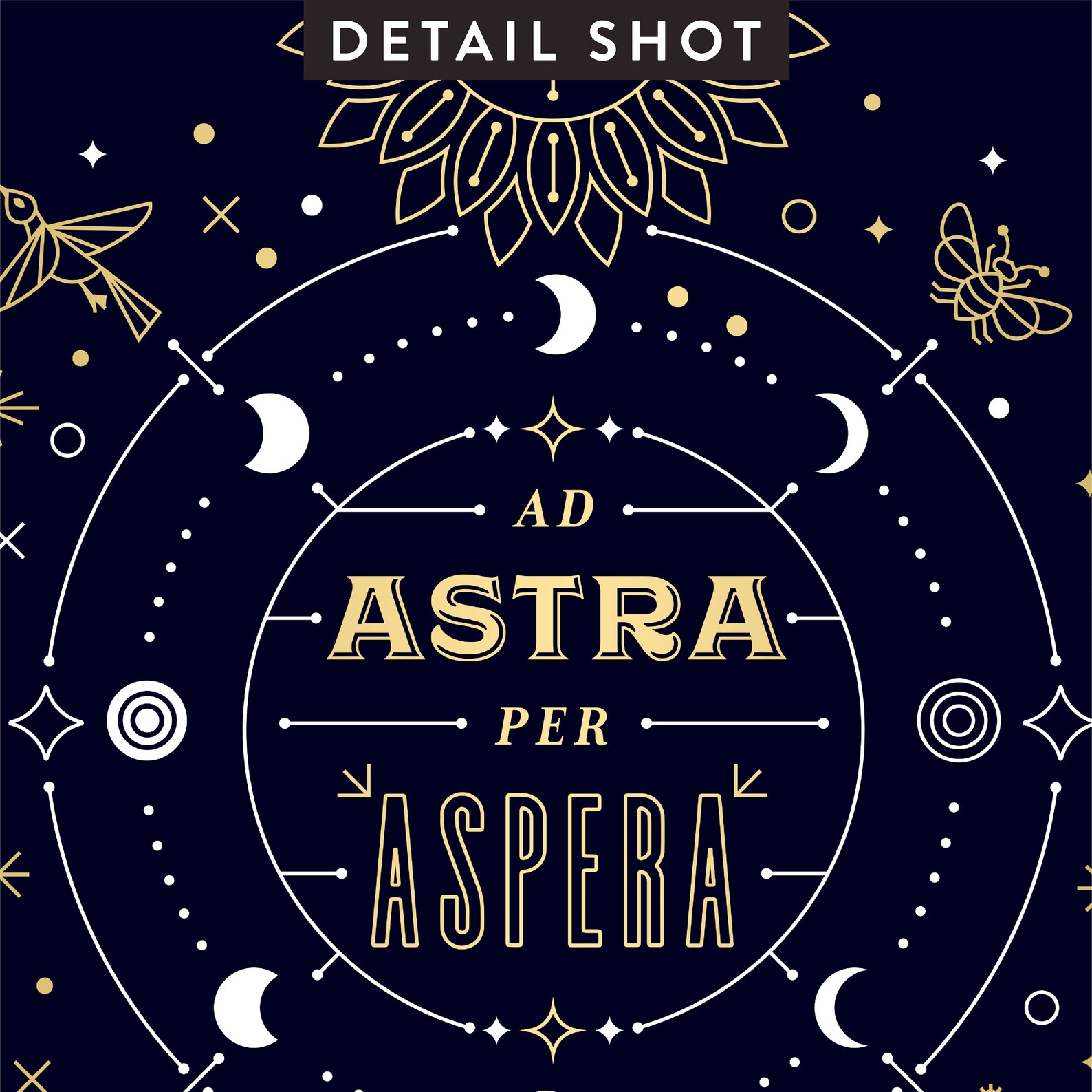 Ad Astra per Aspera Digital Illustration Art Print by Catcoq. Museum ...