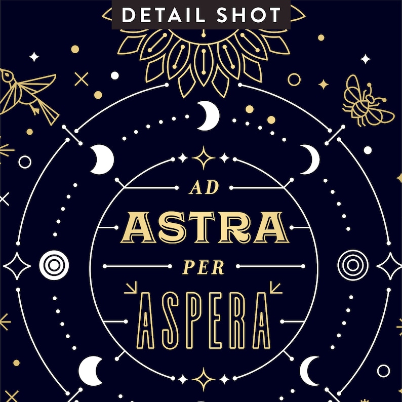 Ad Astra per Aspera Digital Illustration Art Print by Catcoq. Museum-quality on Thick, Archival 
