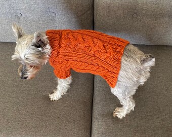 orange dog sweater