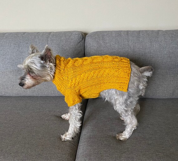yellow dog sweater