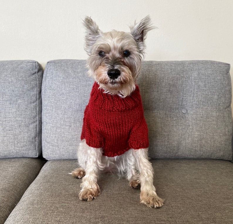 Red Braided Cable Knit Dog Sweater Small and Medium Etsy
