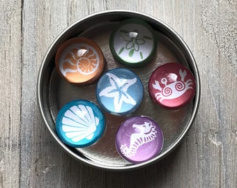 Beach Fridge Magnets Set of 6 – Handmade Neodymium Magnets, Ocean Lover Gift, Coastal Kitchen Decor