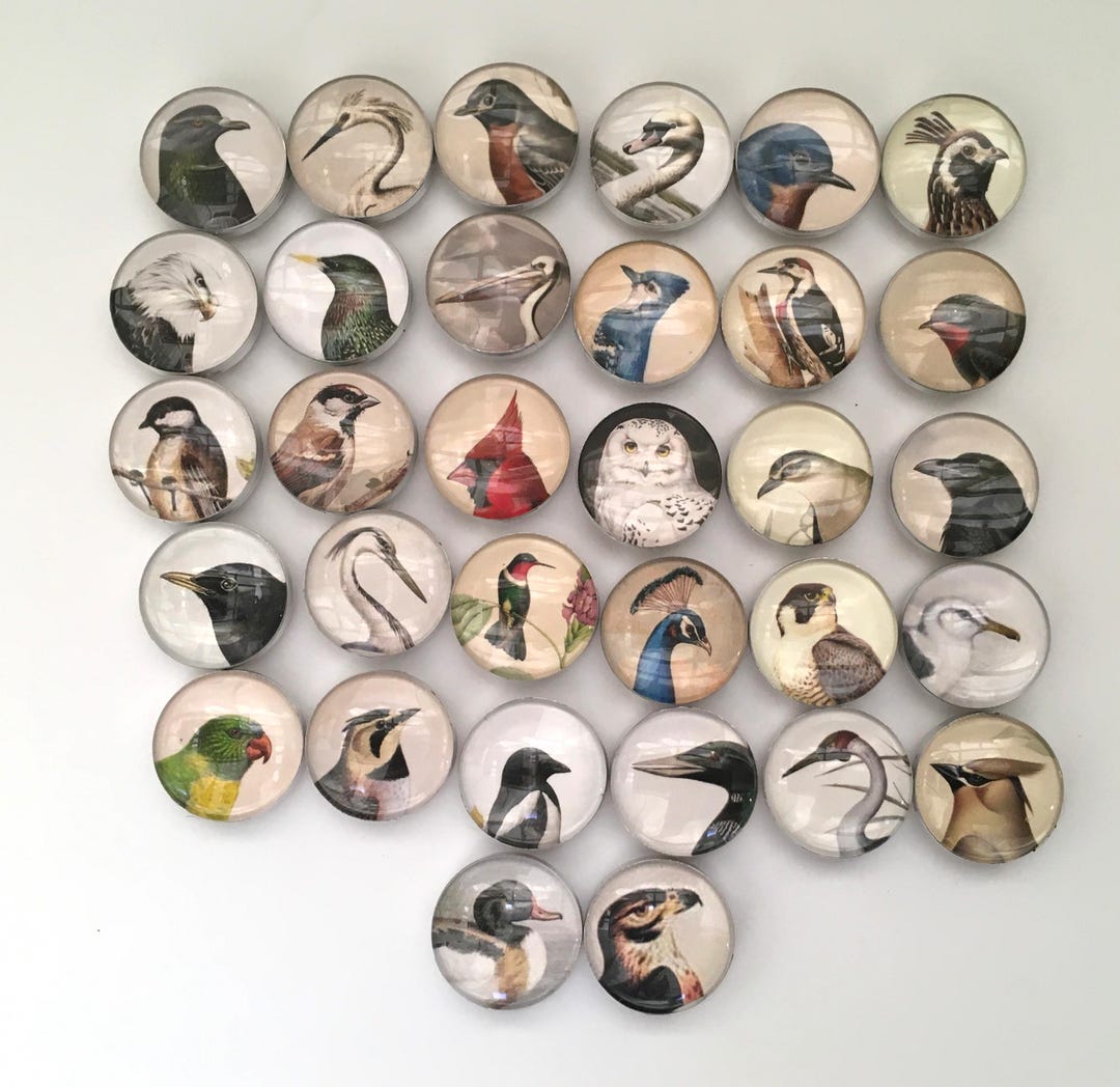 Message Tiles Bird Message Tiles Silver Wrapped - Etsy