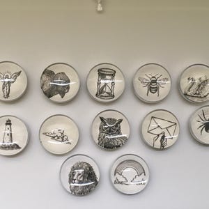 May include: A collection of twelve round glass magnets with black and white illustrations. The designs include an angel, bison, hourglass, bee, swan, lighthouse, cloud, owl, letter, spider, lion, and rainbow.