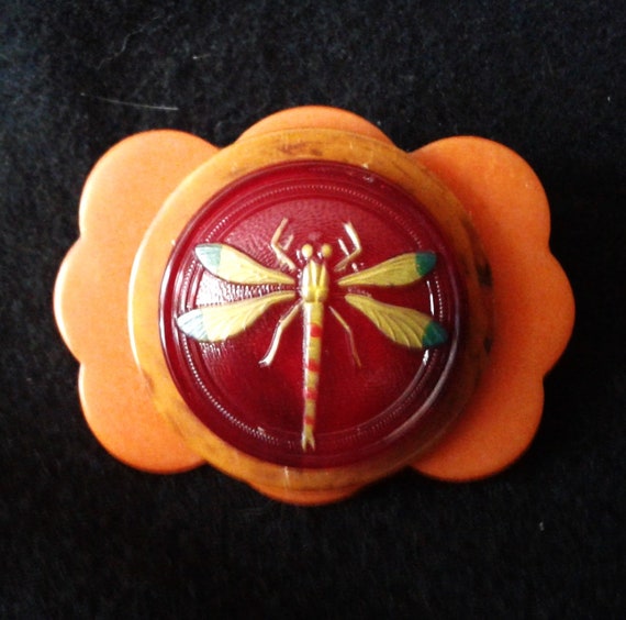 Glass and Celluloid Dragonfly Pin/Brooch/Pendant. - image 1