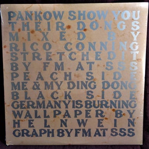 Pankow &quot;Me and My Ding Dong&quot; B/W &quot;Germany Is Burning&quot; 12&#39;vinyl 45.  1990.