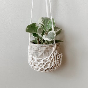 Può includere: Un portavasi in macramé bianco con un vaso in ceramica grigio chiaro e una pianta verde e bianca variegata.