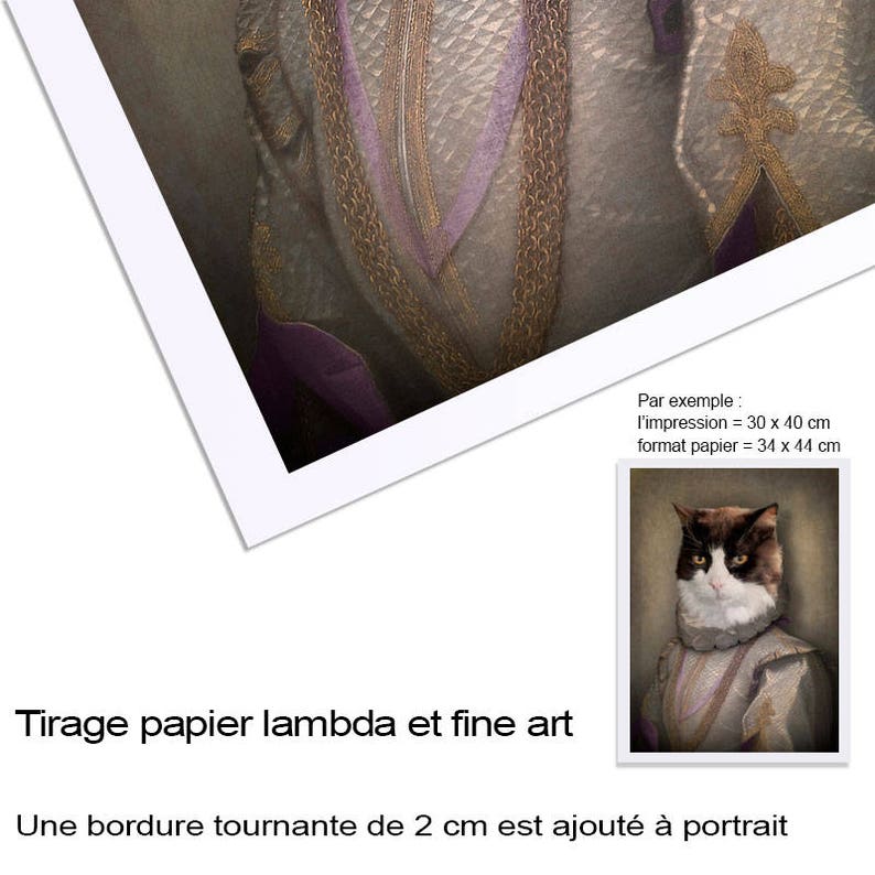 Personnalisable Avec La Photo De Votre Animal Portrait D Un Chat En Habit Renaissance Id U00e9e Cadeau Brugges Portrait Animalier En Costume Pet Portraits Art Collectibles Stokfella Com