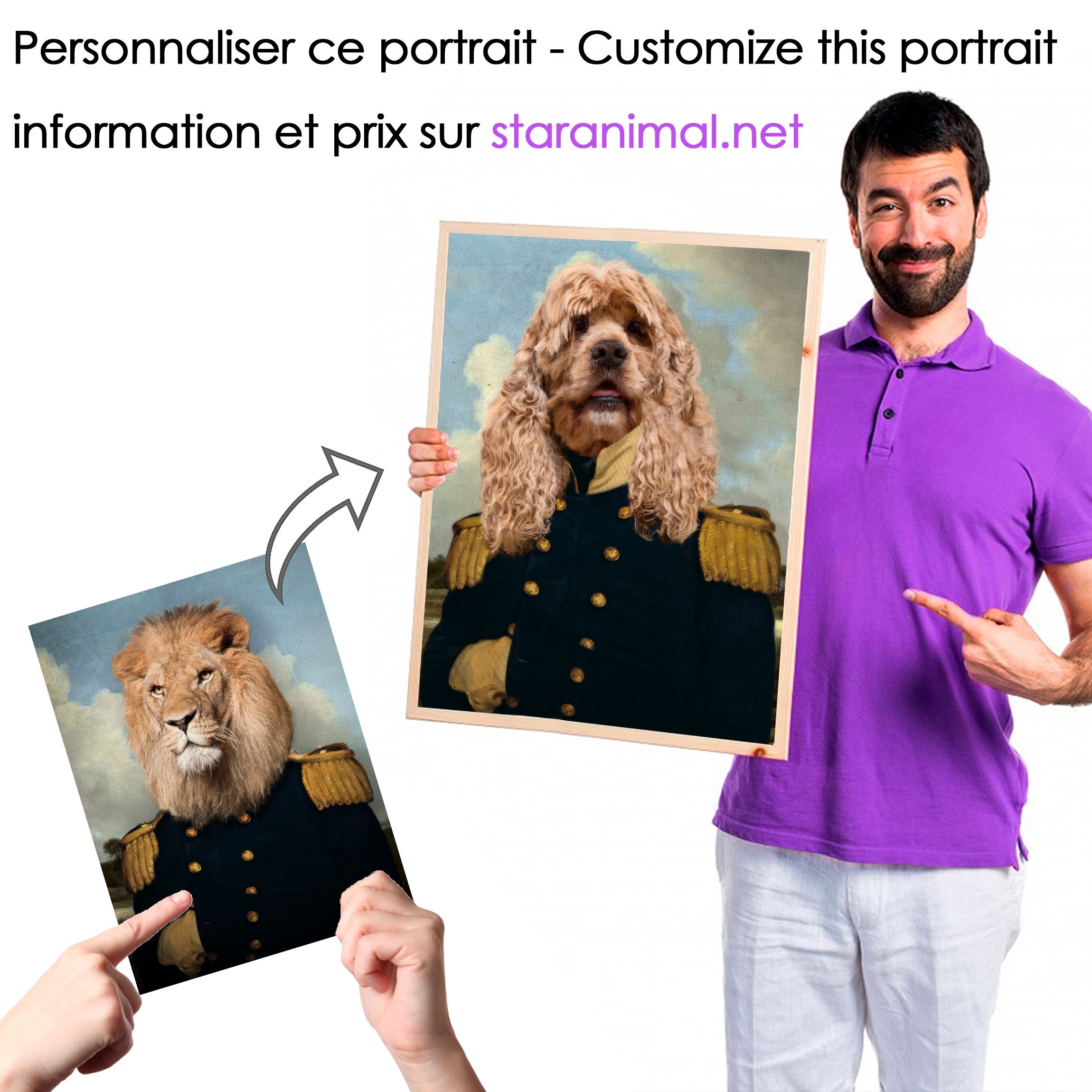 Lion Dressed in Military Uniform Animal Portrait Dressed 