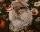 Portrait de lapin habillé en robe renaissance entouré d'un décor de fleurs (série Magnifica Millefiori : Calliope)