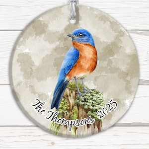 Bird Ornaments, Multiple Designs! Bluebird, Cardinal, Chickadee, Wren, Nuthatch, Goldfinch, Wood Duck, Robin, Kingfisher, Blue Jay