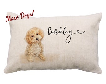 maltipoo pillow