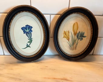 Pair Of Botanical Watercolors