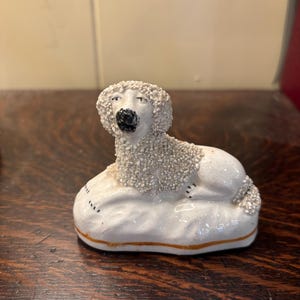 Miniature Staffordshire Poodle