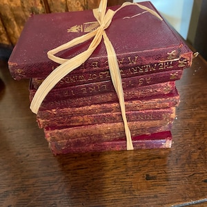 Shakespeare Books In Nine Volume Set