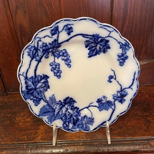 Warwick China Dinner Plate By Johnson And Bros Of England